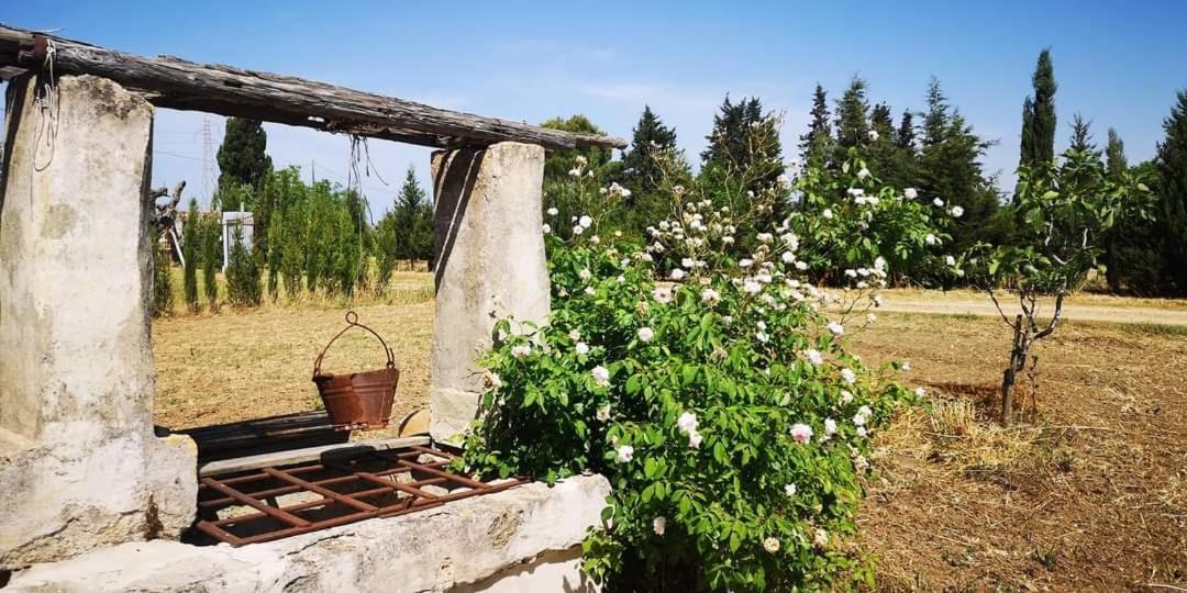 Le Cernicole Vila Melissano Exterior foto